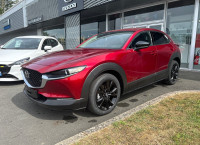 Mazda CX-30 2.0 e-SKYACTIV-X M-Hybrid 186ch Homura BVA 2024