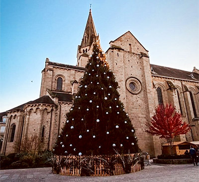 Brive-la-gaillarde église sapin