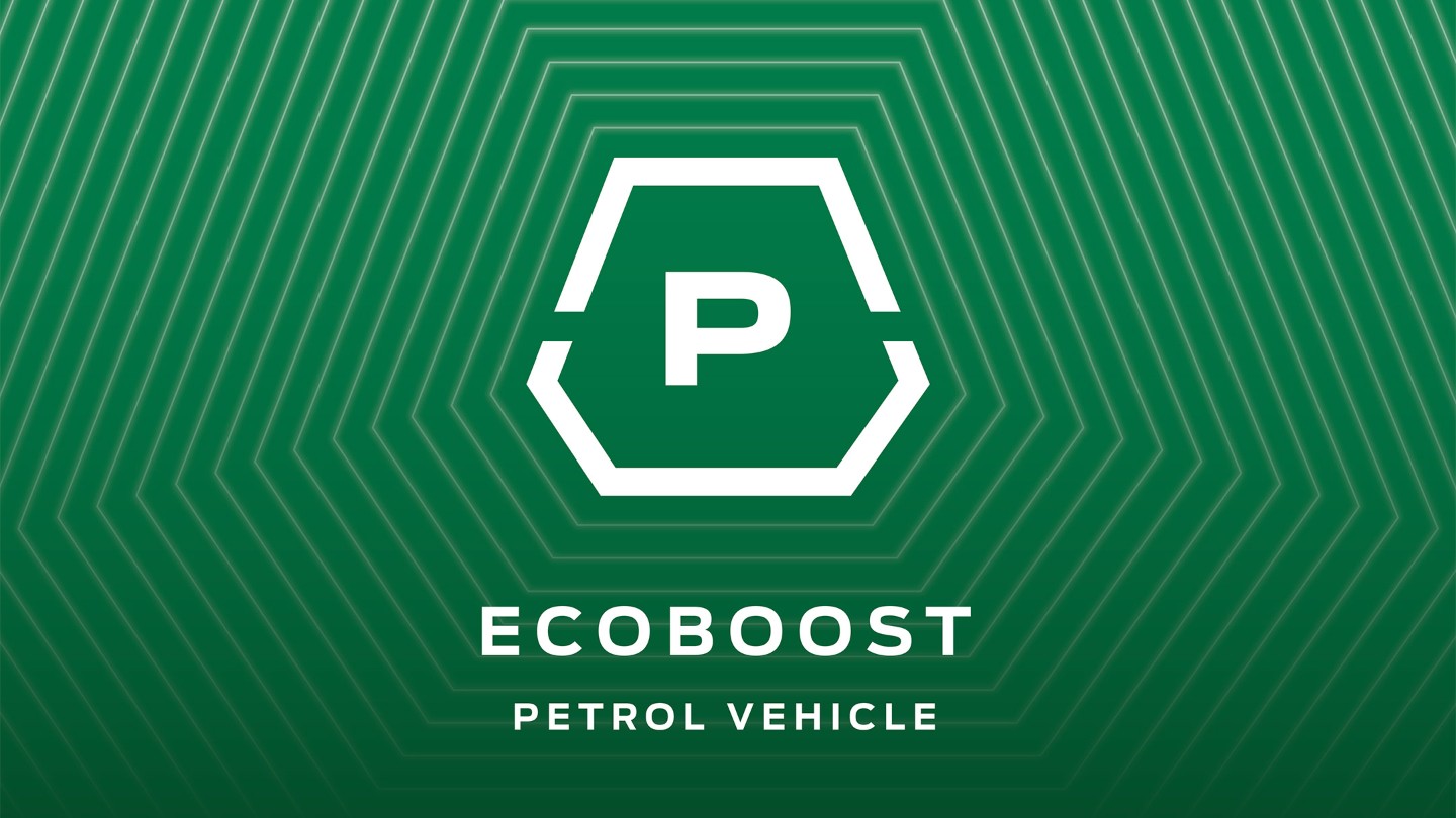 ecoboost